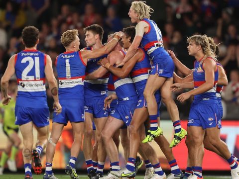 A large group of Western Bulldogs players huddle together after a goal