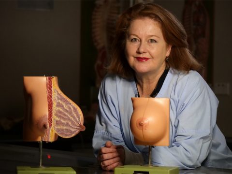 Associate Professor Deirdre McGhee leans on a lab table with an open breast model.